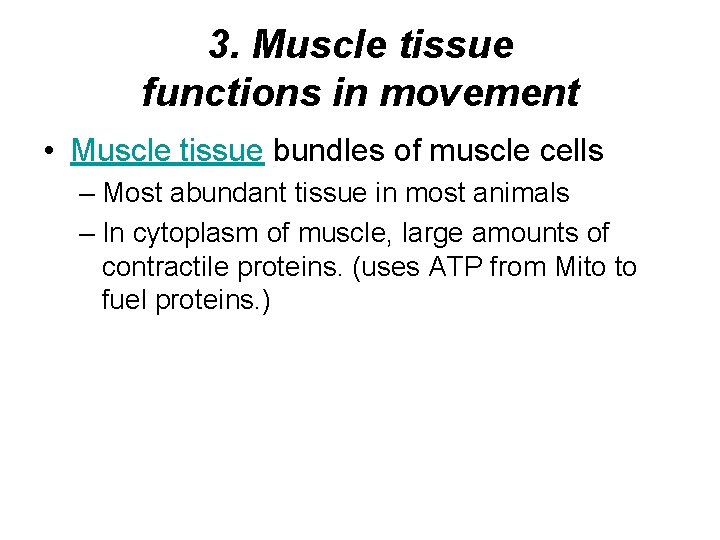 3. Muscle tissue functions in movement • Muscle tissue bundles of muscle cells – 3. Muscle tissue functions in movement • Muscle tissue bundles of muscle cells –