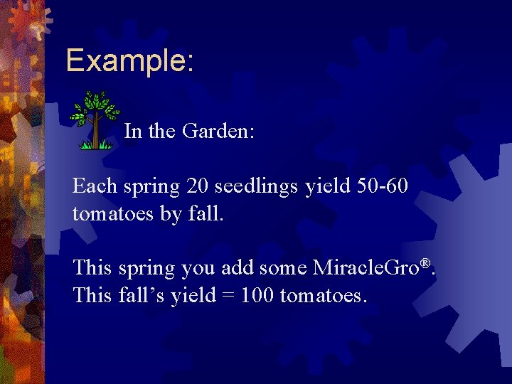 Example: In the Garden: Each spring 20 seedlings yield 50 -60 tomatoes by fall.