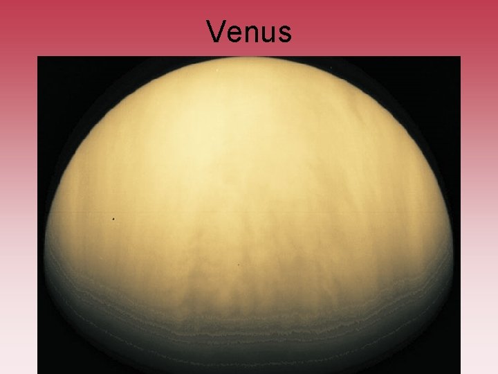 Venus Venus