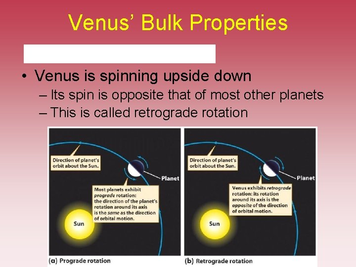 Venus’ Bulk Properties • Venus is spinning upside down – Its spin is opposite Venus’ Bulk Properties • Venus is spinning upside down – Its spin is opposite