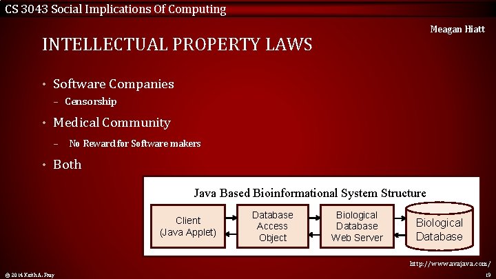CS 3043 Social Implications Of Computing Meagan Hiatt INTELLECTUAL PROPERTY LAWS • Software Companies