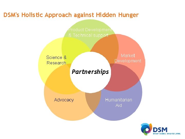 DSM's Holistic Approach against Hidden Hunger Partnerships 