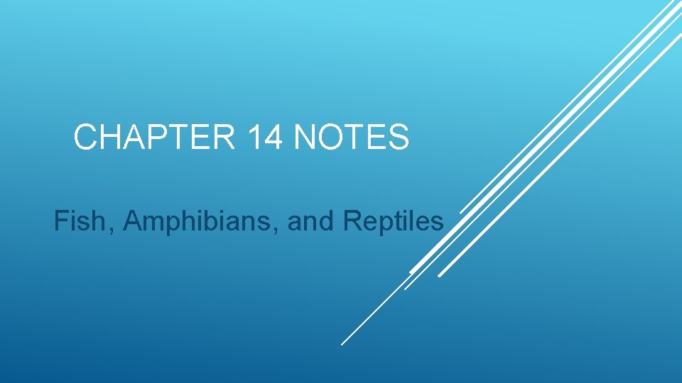 CHAPTER 14 NOTES Fish, Amphibians, and Reptiles 