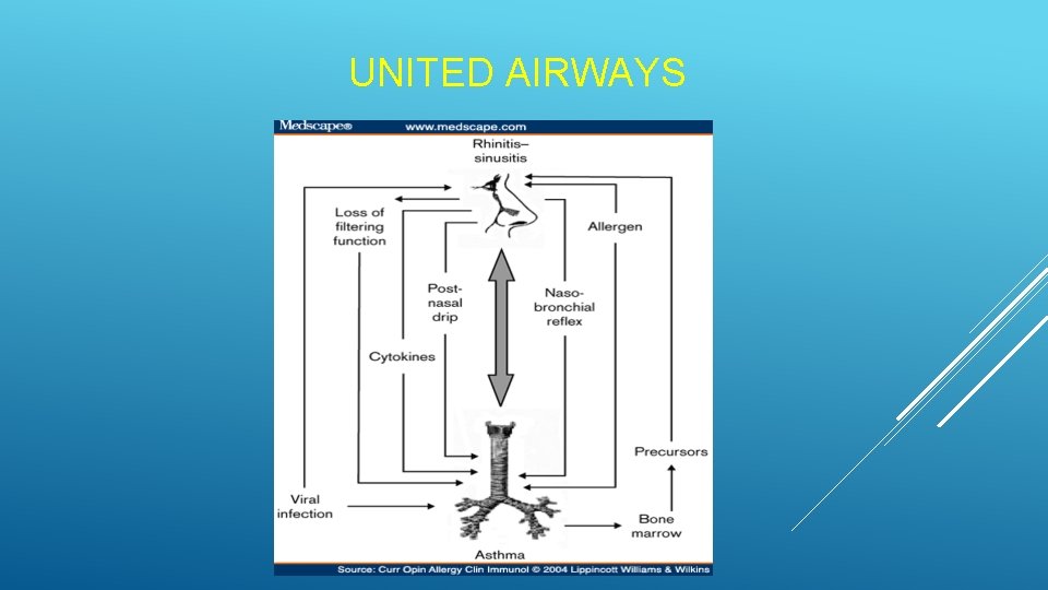 UNITED AIRWAYS UNITED AIRWAYS