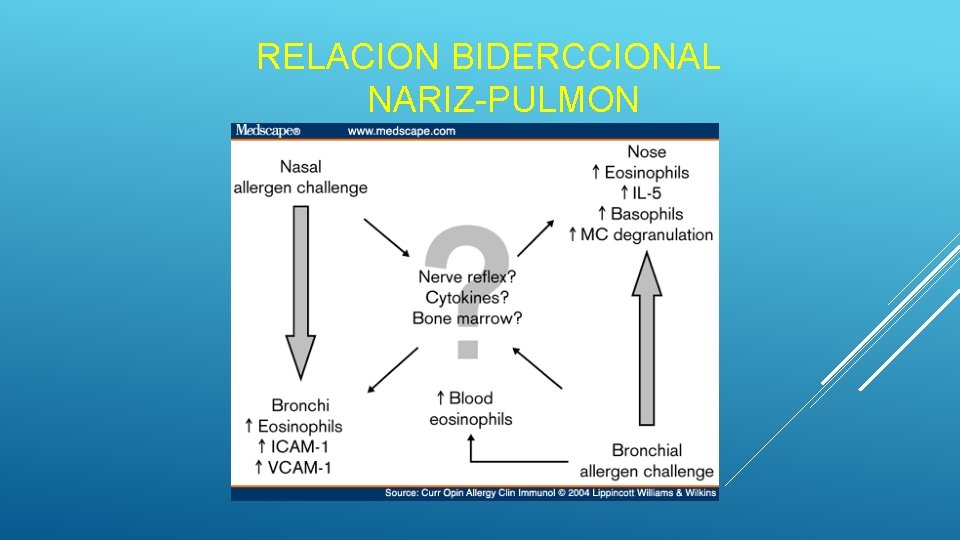 RELACION BIDERCCIONAL NARIZ-PULMON RELACION BIDERCCIONAL NARIZ-PULMON