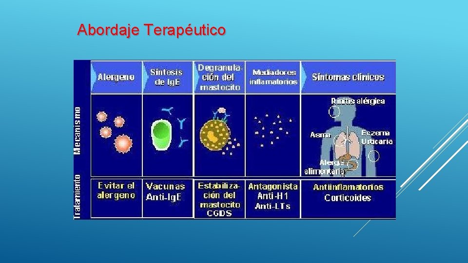 Abordaje Terapéutico Allergy 2008: 63 (suppl. 86): 8 -160; *2010 World Allergy Organization Abordaje Terapéutico Allergy 2008: 63 (suppl. 86): 8 -160; *2010 World Allergy Organization