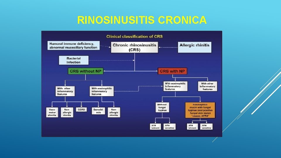 RINOSINUSITIS CRONICA RINOSINUSITIS CRONICA