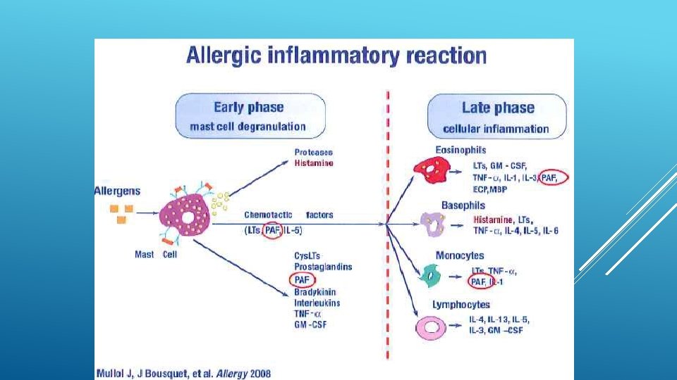 Allergy 2008: 63 (suppl. 86): 8 -160; *2010 World Allergy Organization Allergy 2008: 63 (suppl. 86): 8 -160; *2010 World Allergy Organization