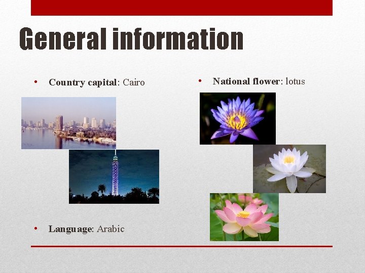 General information • Country capital: Cairo • Language: Arabic • National flower: lotus 