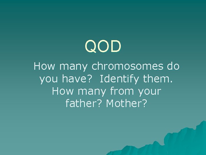 QOD How many chromosomes do you have? Identify them. How many from your father?