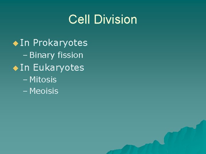 Cell Division u In Prokaryotes – Binary fission u In Eukaryotes – Mitosis –