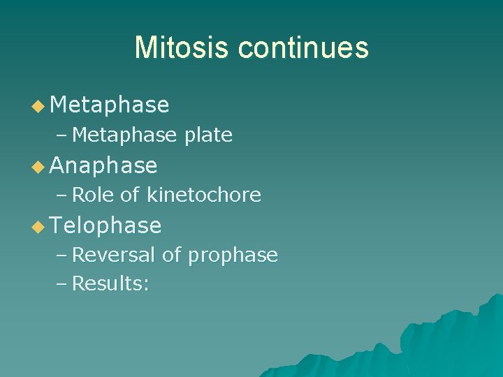 Mitosis continues u Metaphase – Metaphase plate u Anaphase – Role of kinetochore u