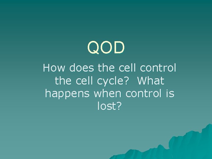 QOD How does the cell control the cell cycle? What happens when control is