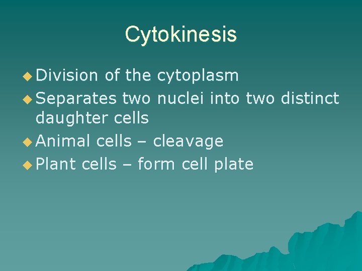 Cytokinesis u Division of the cytoplasm u Separates two nuclei into two distinct daughter