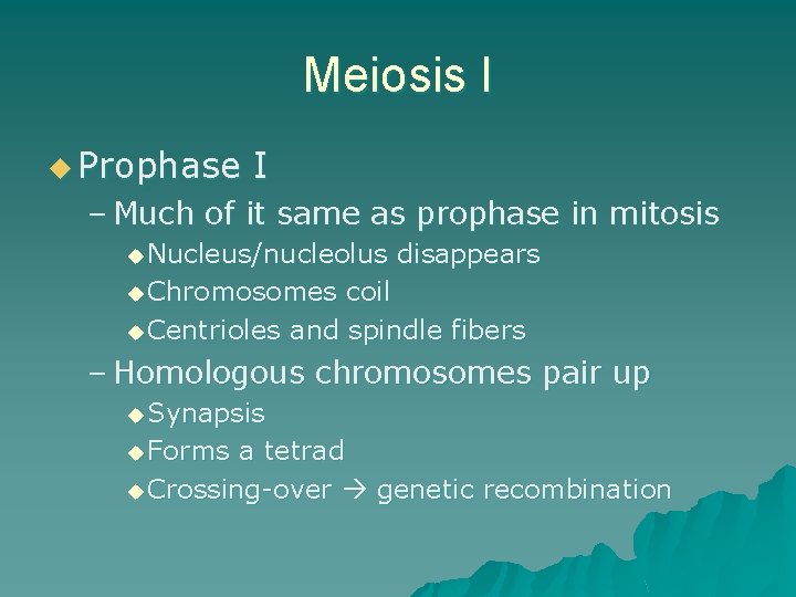 Meiosis I u Prophase I – Much of it same as prophase in mitosis