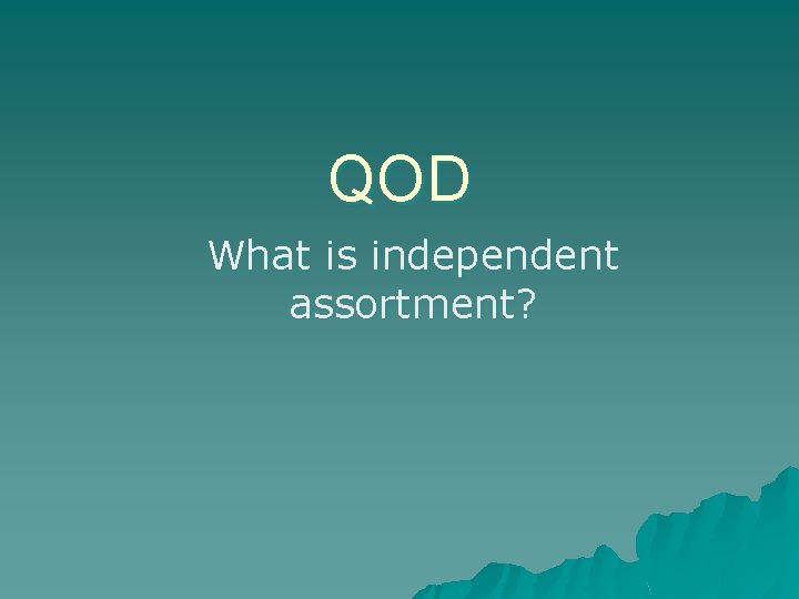 QOD What is independent assortment? 