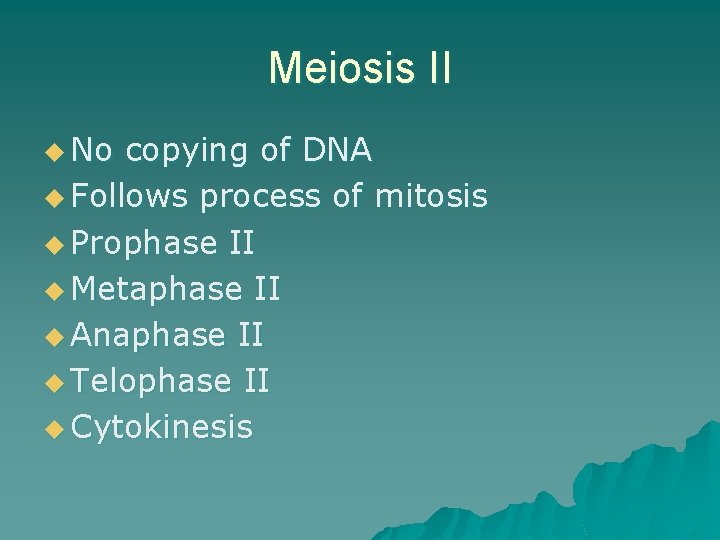 Meiosis II u No copying of DNA u Follows process of mitosis u Prophase