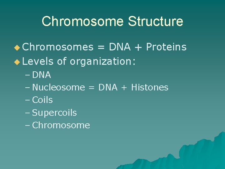 Chromosome Structure u Chromosomes = DNA + Proteins u Levels of organization: – DNA