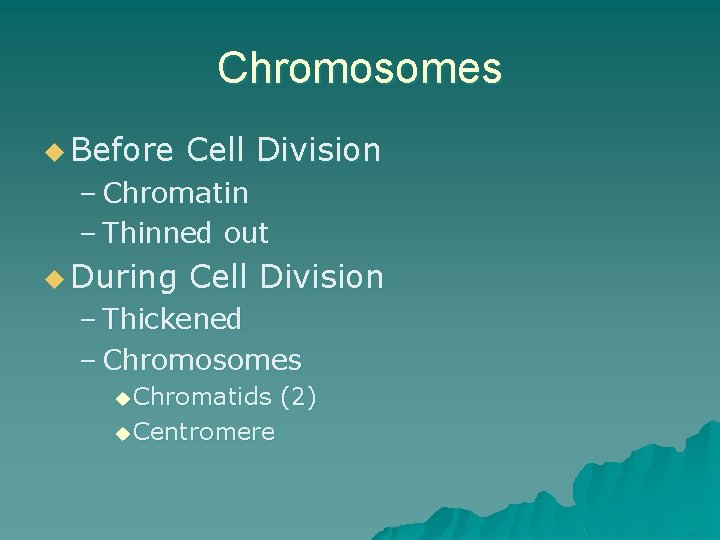 Chromosomes u Before Cell Division – Chromatin – Thinned out u During Cell Division