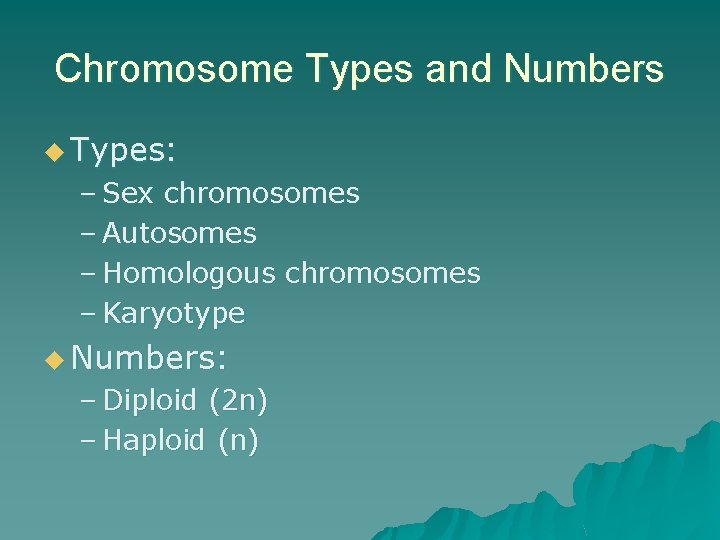 Chromosome Types and Numbers u Types: – Sex chromosomes – Autosomes – Homologous chromosomes