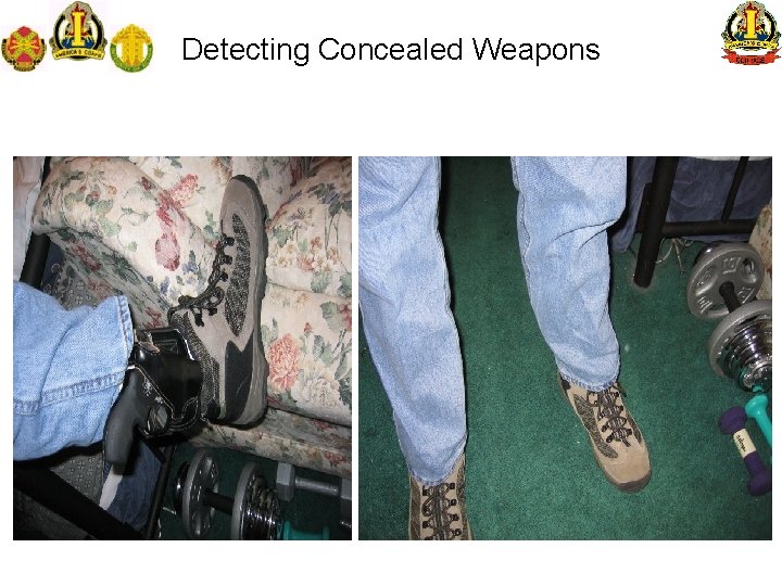 Detecting Concealed Weapons 
