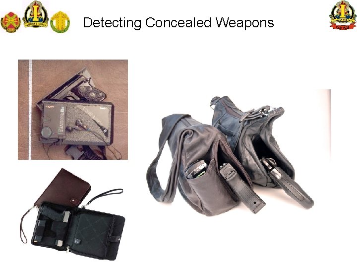 Detecting Concealed Weapons 