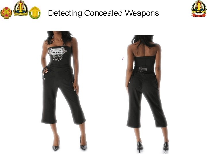 Detecting Concealed Weapons 