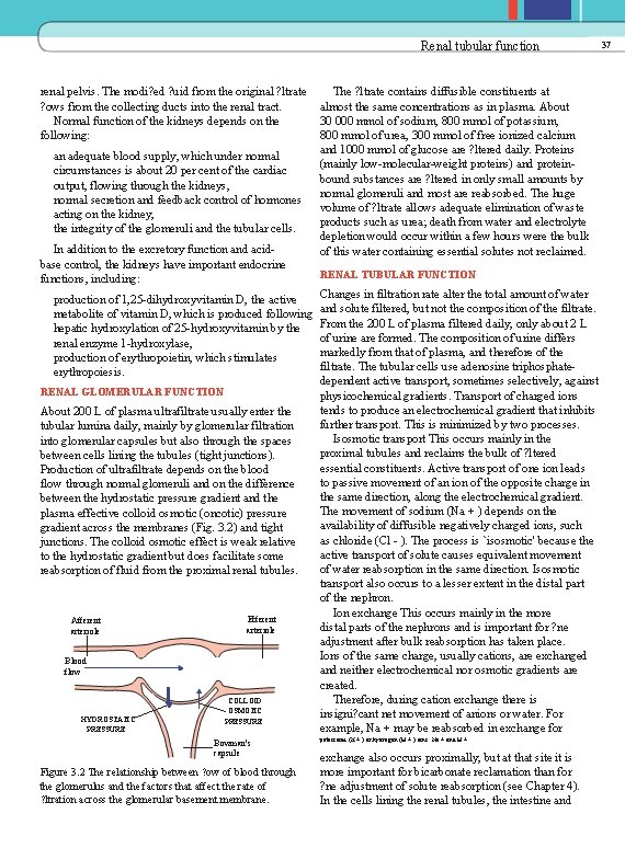 Renal tubular function renal pelvis. The modi? ed ? uid from the original ?