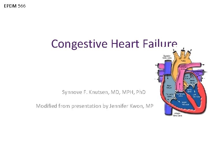 EPDM 566 Congestive Heart Failure Synnove F. Knutsen, MD, MPH, Ph. D Modified from