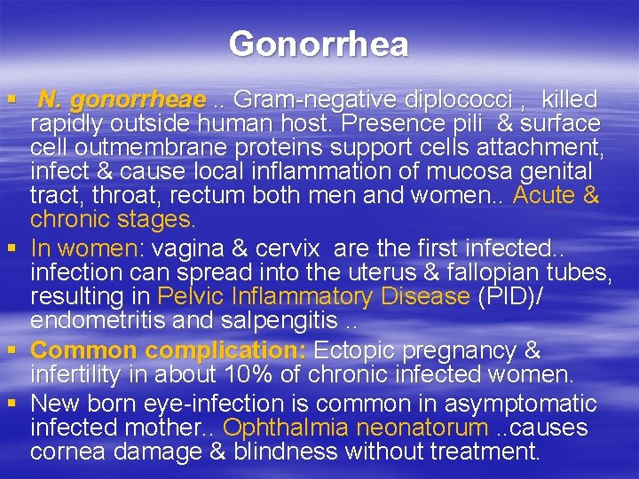 Gonorrhea § N. gonorrheae. . Gram-negative diplococci , killed rapidly outside human host. Presence Gonorrhea § N. gonorrheae. . Gram-negative diplococci , killed rapidly outside human host. Presence