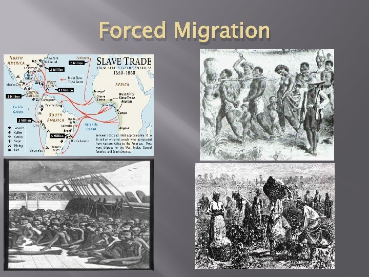 Forced Migration 