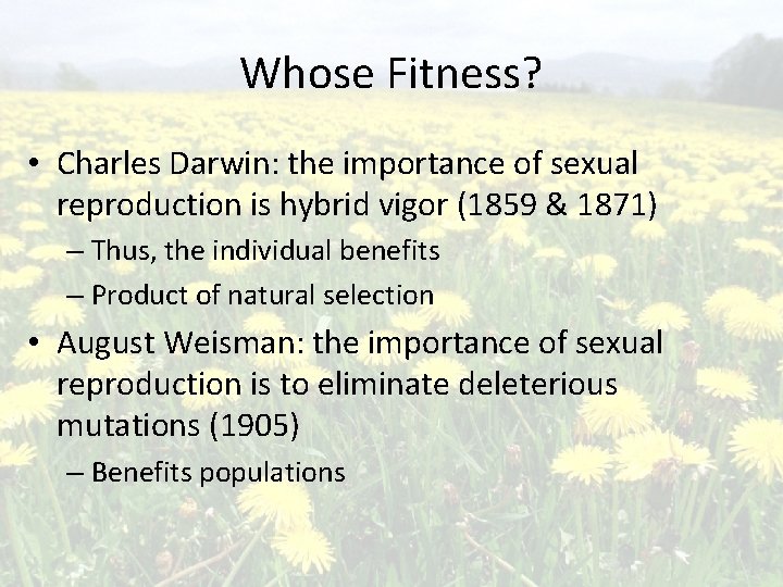 Whose Fitness? • Charles Darwin: the importance of sexual reproduction is hybrid vigor (1859