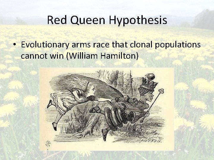 Red Queen Hypothesis • Evolutionary arms race that clonal populations cannot win (William Hamilton)