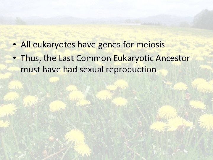  • All eukaryotes have genes for meiosis • Thus, the Last Common Eukaryotic