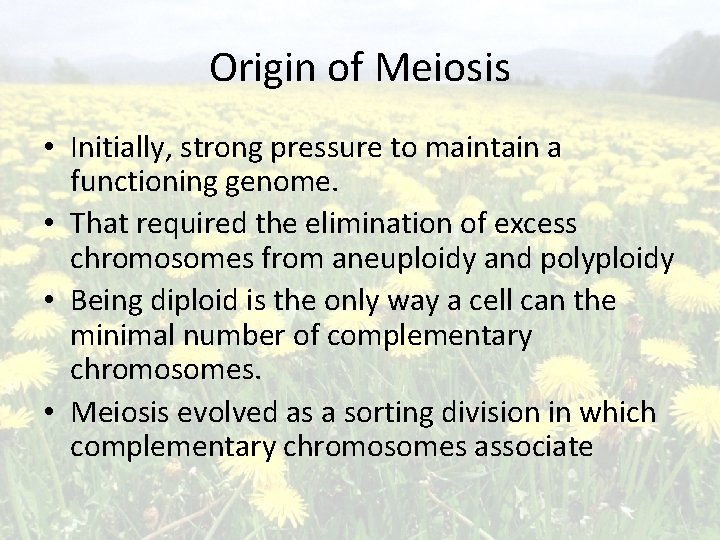 Origin of Meiosis • Initially, strong pressure to maintain a functioning genome. • That