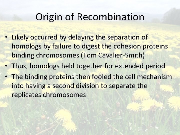 Origin of Recombination • Likely occurred by delaying the separation of homologs by failure