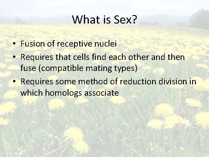 What is Sex? • Fusion of receptive nuclei • Requires that cells find each