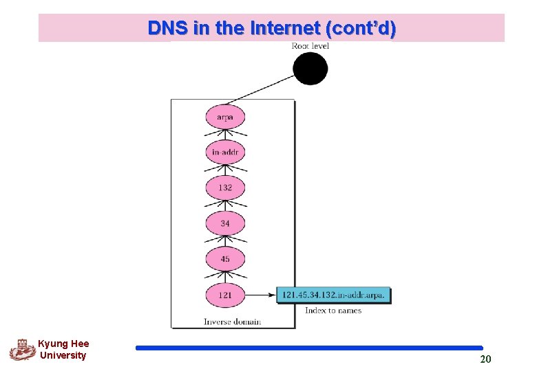 DNS in the Internet (cont’d) Kyung Hee University 20 DNS in the Internet (cont’d) Kyung Hee University 20