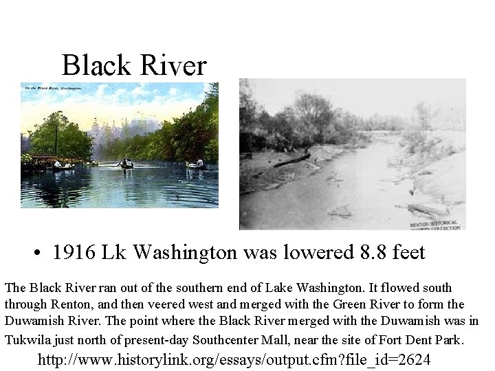 Black River • 1916 Lk Washington was lowered 8. 8 feet The Black River