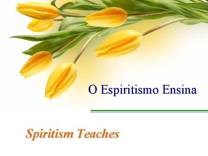 O Espiritismo Ensina Spiritism Teaches 