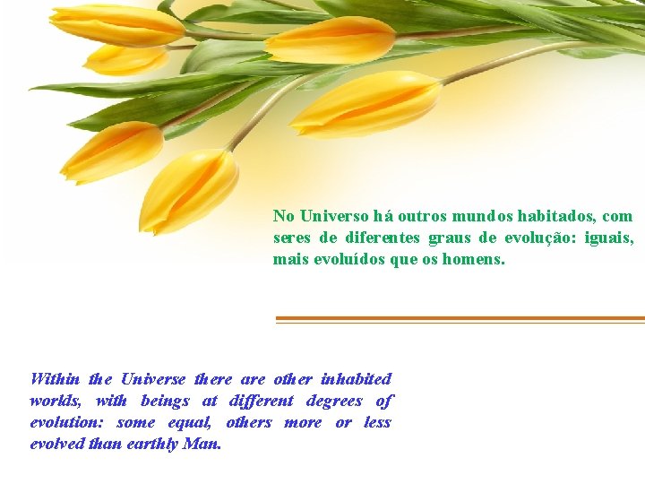 No Universo há outros mundos habitados, com seres de diferentes graus de evolução: iguais,