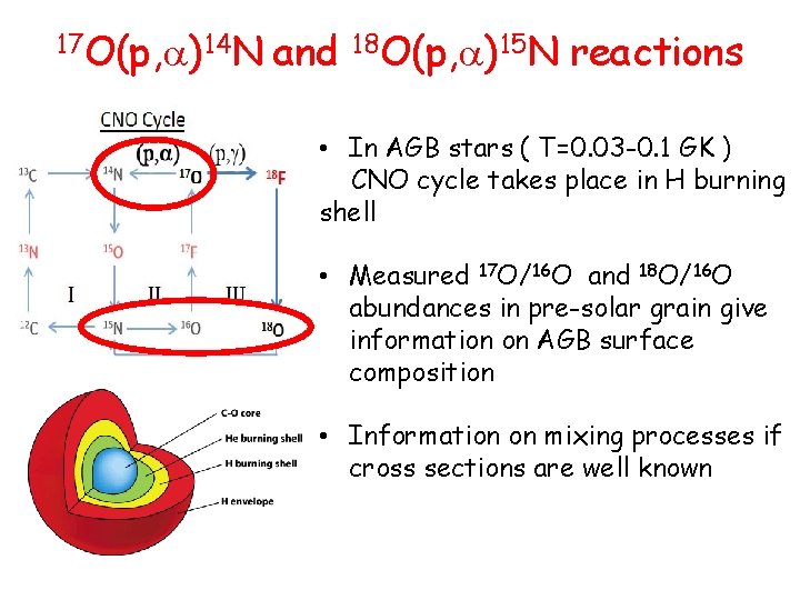 17 O(p, )14 N and 18 O(p, )15 N reactions • In AGB stars