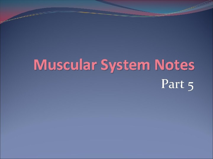 Muscular System Notes Part 5 