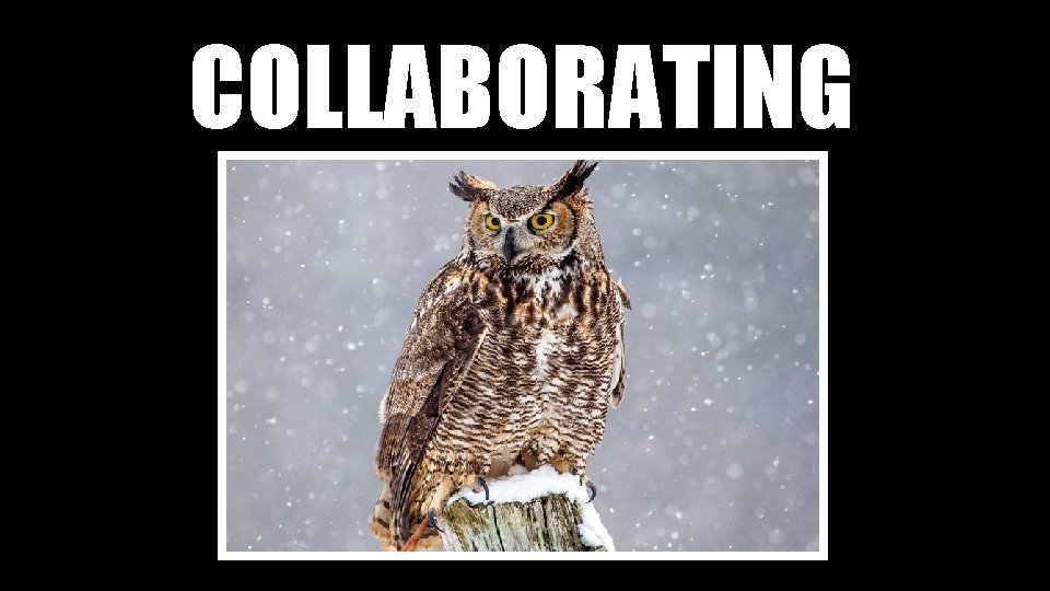 COLLABORATING 
