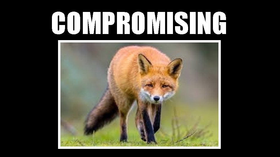 COMPROMISING 