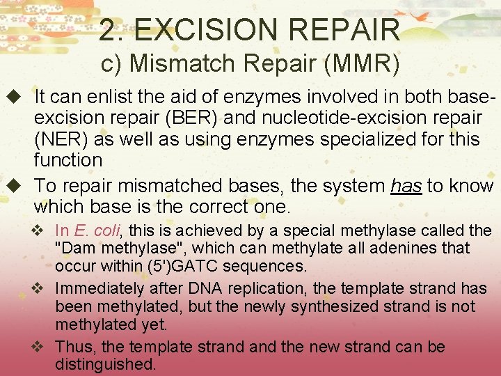 2. EXCISION REPAIR c) Mismatch Repair (MMR) u It can enlist the aid of 2. EXCISION REPAIR c) Mismatch Repair (MMR) u It can enlist the aid of