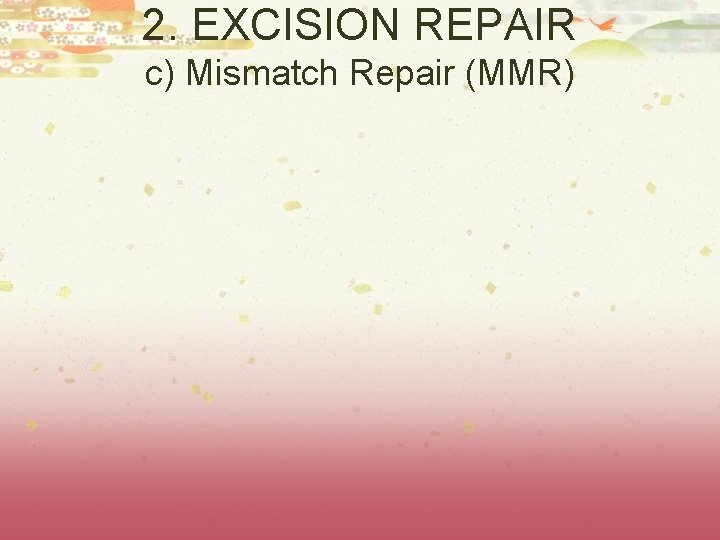 2. EXCISION REPAIR c) Mismatch Repair (MMR) 2. EXCISION REPAIR c) Mismatch Repair (MMR)
