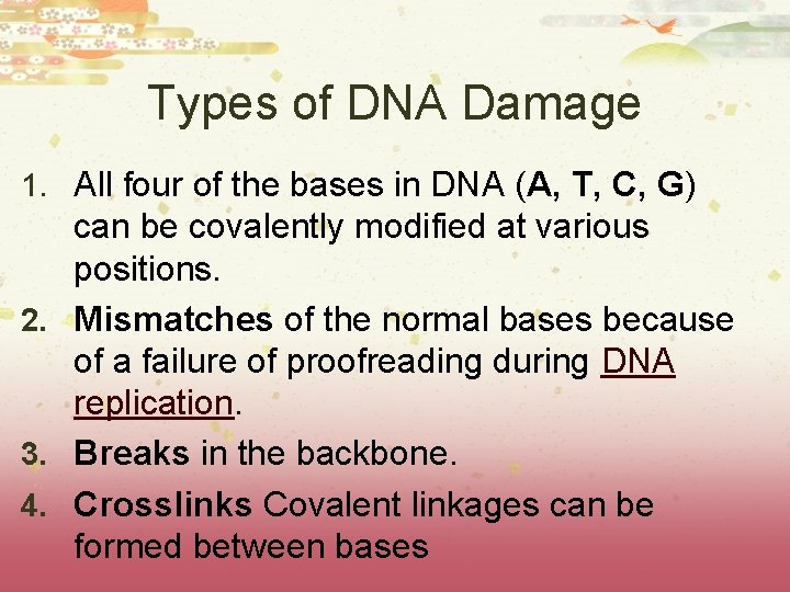 Types of DNA Damage 1. All four of the bases in DNA (A, T, Types of DNA Damage 1. All four of the bases in DNA (A, T,