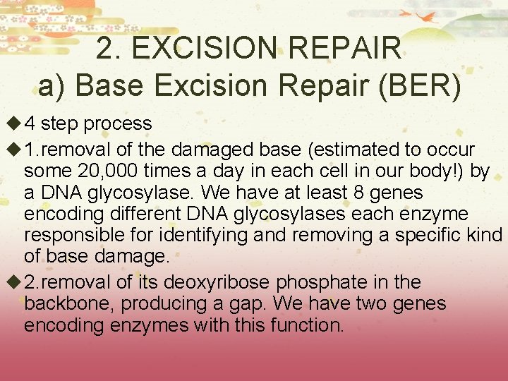 2. EXCISION REPAIR a) Base Excision Repair (BER) u 4 step process u 1. 2. EXCISION REPAIR a) Base Excision Repair (BER) u 4 step process u 1.