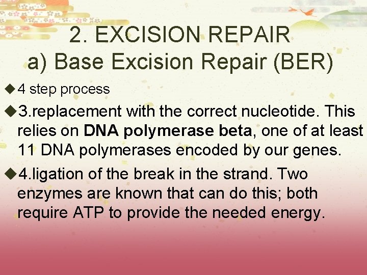 2. EXCISION REPAIR a) Base Excision Repair (BER) u 4 step process u 3. 2. EXCISION REPAIR a) Base Excision Repair (BER) u 4 step process u 3.